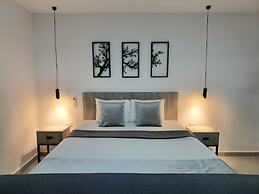 kasa Cactus Laureles