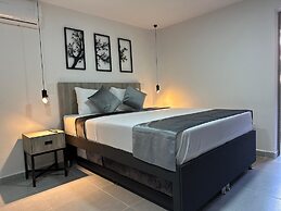 kasa Cactus Laureles