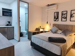 kasa Cactus Laureles