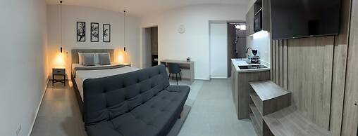 kasa Cactus Laureles