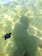 finca beach house and cabana