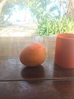 finca beach house and cabana