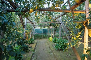 Villa Margherita Garden