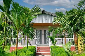 Rahaman Farm House Lataguri  Murti