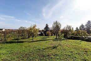 Balaton View From Almadi
