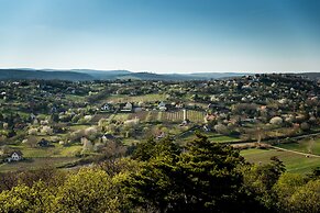 Balaton View From Almadi
