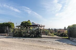 Balaton View From Almadi