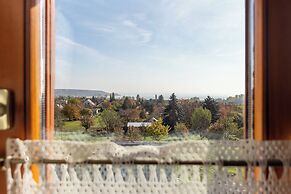 Balaton View From Almadi