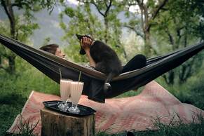 The Mountain Childs Stay