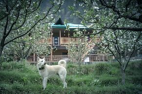 The Mountain Childs Stay