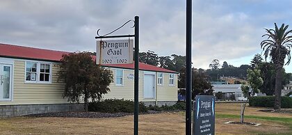 Penguin Retreat