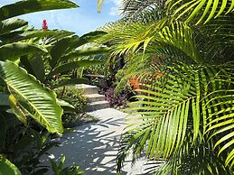 Cabañas Kwepal Costa Rica