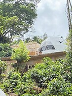 Alma Glamping