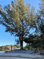 Reserva do Sahy, Condado