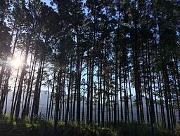 Reserva do Sahy, Condado