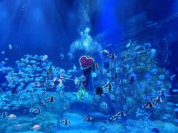 Sunny - Vinhomes Times City Park Hill