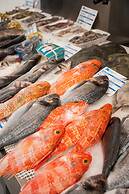 Ocean Boutique Guesthouse