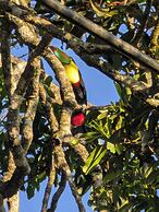 Campos de Oro Wilderness Lodge