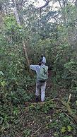 Campos de Oro Wilderness Lodge