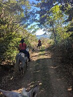 Campos de Oro Wilderness Lodge