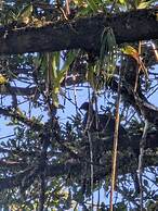 Campos de Oro Wilderness Lodge