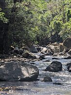 Campos de Oro Wilderness Lodge