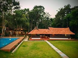 AYURVEDA TOURS INDIA