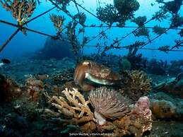 Teluk Karang Dive and Spa Resort Bali