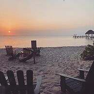 Finca Beachfront Tree house