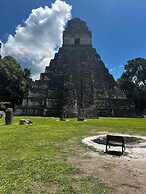 Finca Beachfront Tree house