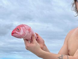 Finca Beachfront Tree house