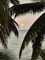 Finca Beachfront Tree house