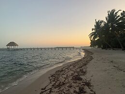 Finca Beachfront Tree house