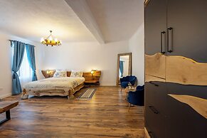 Blue House Citadel Elite Sighisoara