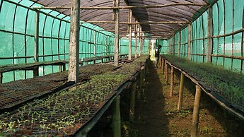 Aranya Bithi
