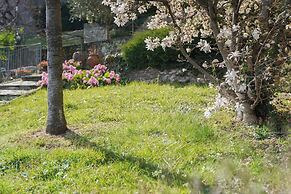 Lakeview Apartments by Rent All Como