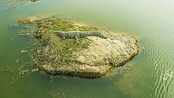 Jawai Zinc Journey by The Fern
