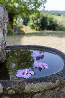 Quinta da Comenda - Casa da Bica