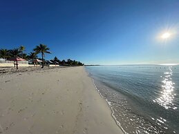 NEW Stunning Beachfront Condo at the Coral Beach
