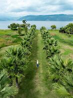 Dali Nest Secret Garden Lake View Inn