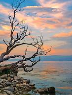 Dali Nest Secret Garden Lake View Inn