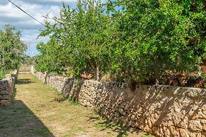 Can Fiolet in Algaida