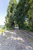 Quinta da Comenda - Casa da Tuia