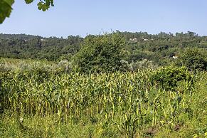 Quinta da Comenda - Casa da Tuia