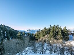 Apartment With Ski Access