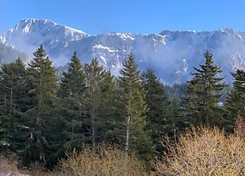 Apartment With Ski Access