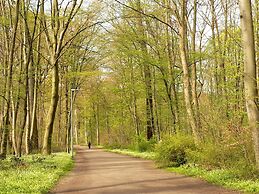 Apartments am Immengarten