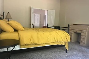 Dream Dust Drive When East Meets West