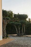 Villa Monte das Oliveiras