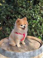 Hotel Hacienda Guadalupe